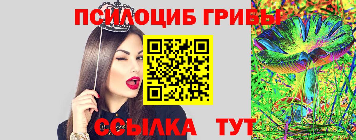 Галлюциногенные грибы прущие грибы Заинск
